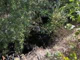 0000 Terry Mill Road - Photo 13