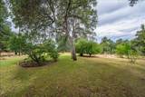 19043 Overo Way - Photo 17