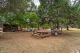 19043 Overo Way - Photo 23