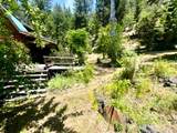 691 Lost Bridge Road - Photo 43