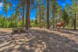 12755 Clearbrook Drive - Photo 19