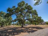 2764 Majestic Oak Circle - Photo 85
