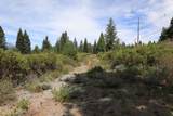 131 Big Canyon Drive - Photo 11