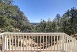 4207 Frances Drive - Photo 6