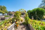 22596 Dalewood Drive - Photo 82