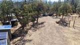 93.57 Acres Backbone Road - Photo 21