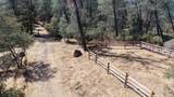 93.57 Acres Backbone Road - Photo 24