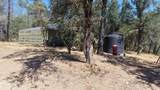 93.57 Acres Backbone Road - Photo 25