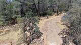 93.57 Acres Backbone Road - Photo 26