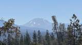 93.57 Acre Backbone Road - Photo 2