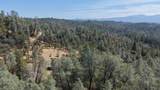 93.57 Acre Backbone Road - Photo 45