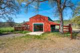 28433 Wild Rose Lane - Photo 109