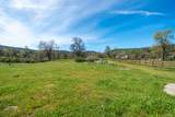 28433 Wild Rose Lane - Photo 116