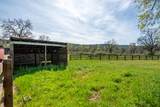 28433 Wild Rose Lane - Photo 120