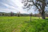 28433 Wild Rose Lane - Photo 121