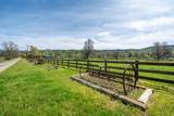 28433 Wild Rose Lane - Photo 133