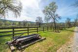 28433 Wild Rose Lane - Photo 134