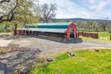 28433 Wild Rose Lane - Photo 156