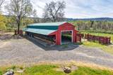 28433 Wild Rose Lane - Photo 157