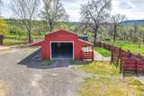 28433 Wild Rose Lane - Photo 158