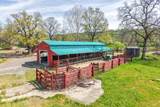 28433 Wild Rose Lane - Photo 159