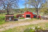 28433 Wild Rose Lane - Photo 162