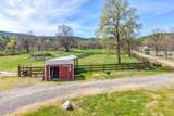 28433 Wild Rose Lane - Photo 164