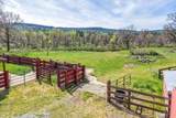 28433 Wild Rose Lane - Photo 165