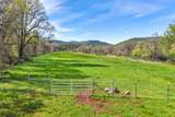 28433 Wild Rose Lane - Photo 173