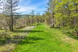 28433 Wild Rose Lane - Photo 186