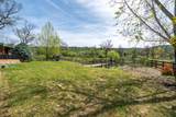 28433 Wild Rose Lane - Photo 51