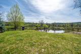 28433 Wild Rose Lane - Photo 52
