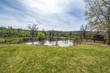 28433 Wild Rose Lane - Photo 53