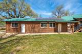 28433 Wild Rose Lane - Photo 61