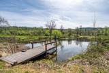 28433 Wild Rose Lane - Photo 63
