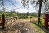 28433 Wild Rose Lane - Photo 69