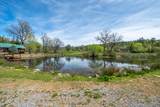 28433 Wild Rose Lane - Photo 72