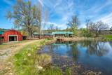 28433 Wild Rose Lane - Photo 74