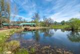28433 Wild Rose Lane - Photo 75