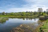 28433 Wild Rose Lane - Photo 78