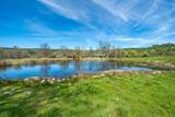 28433 Wild Rose Lane - Photo 83
