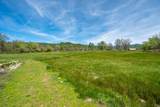 28433 Wild Rose Lane - Photo 87