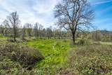 28433 Wild Rose Lane - Photo 89