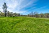 28433 Wild Rose Lane - Photo 92