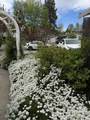 20525 Hudson Street - Photo 3