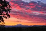 6833 Alpine Ridge Road - Photo 46