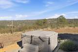 6833 Alpine Ridge Road - Photo 49