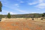 6833 Alpine Ridge Road - Photo 72