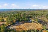 6833 Alpine Ridge Road - Photo 88