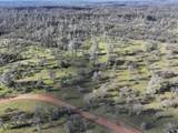  Happy Valley Road - Photo 14